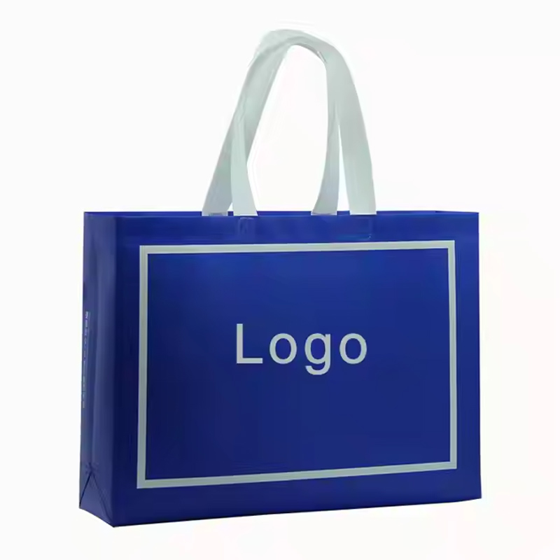 Supplier Custom Printed Non Woven Bag For Expo Giveaways Branding