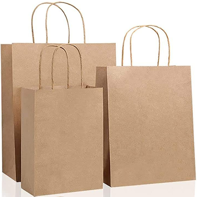 Luxury Printed Paper Shopping Bags – Sturdy Handles for Boutique Gift Packaging