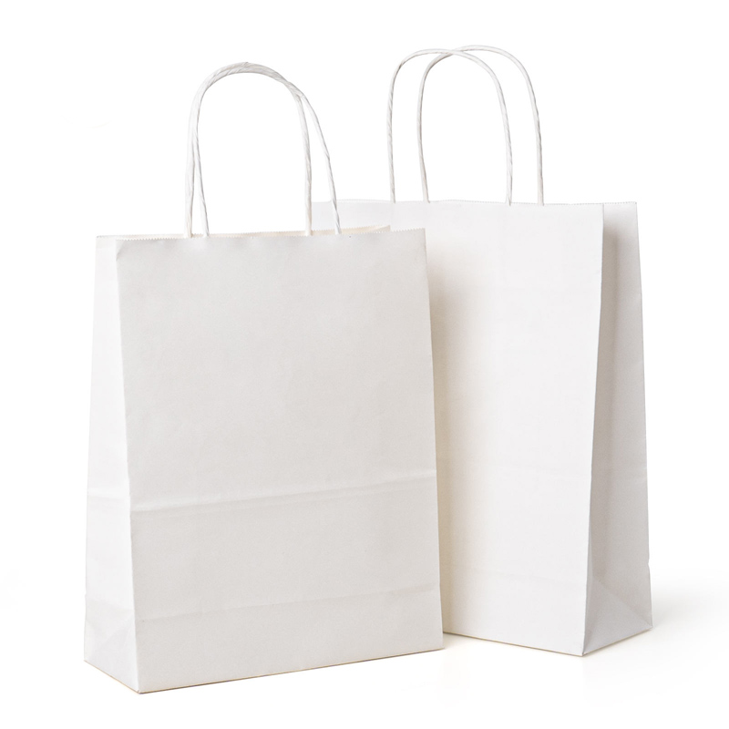 Custom Color Paper Gift Bags – Matte Finish with Rope Handles for Events Packaging