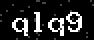 verify code
