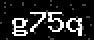 verify code