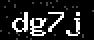 verify code