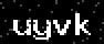 verify code