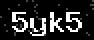 verify code