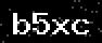 verify code