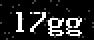 verify code