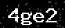 verify code