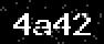 verify code
