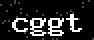 verify code